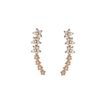 Zircon Studded Starry Sky Earrings