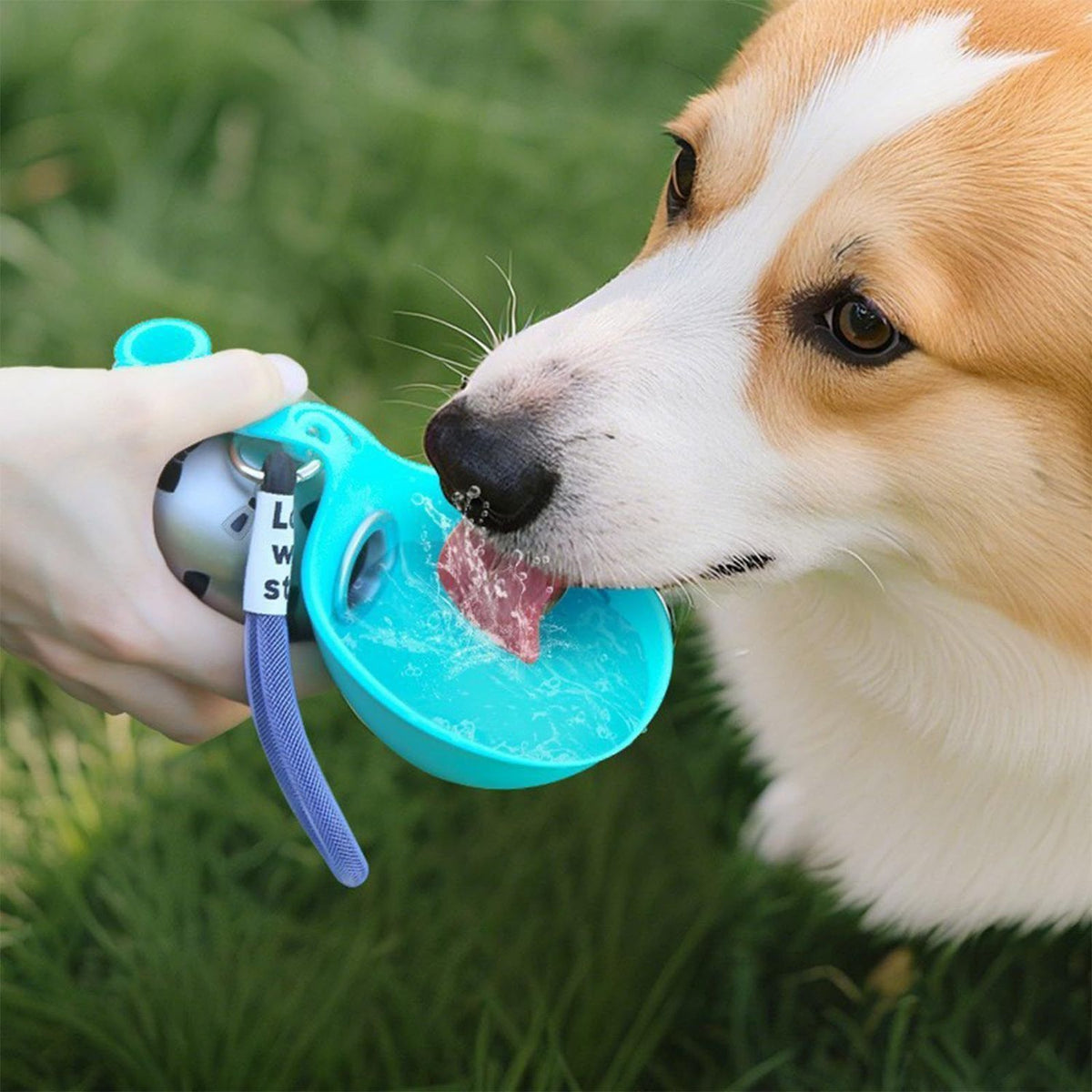Collapsible Stainless Steel Pet Water Bowl