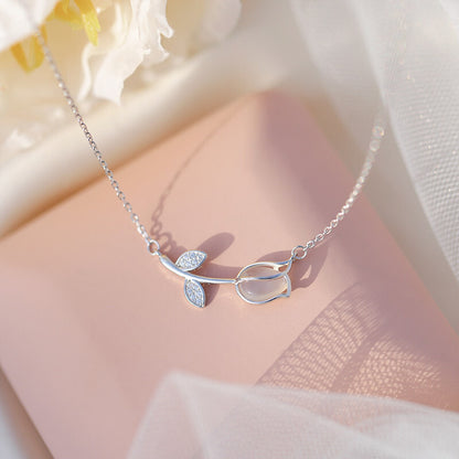 Titanium steel collar chain