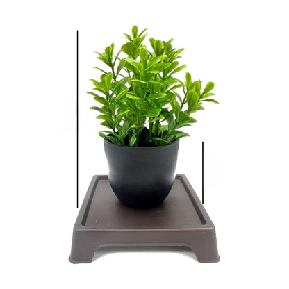 Small Plastic Potted Eucalyptus Artificial Plants